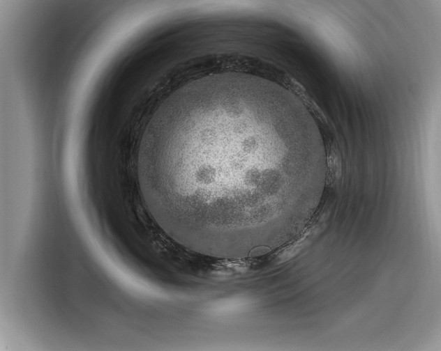 X0000116280765200912071150
