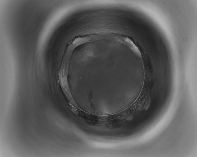 X0000116280766200912071150
