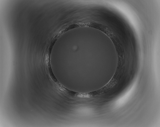 X0000116280767200912071150
