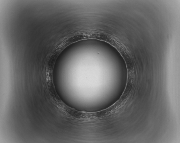 X0000116280770200912071149