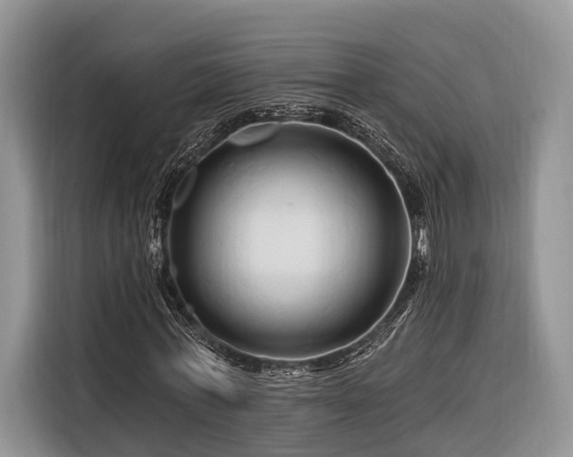 X0000116280771200912071149