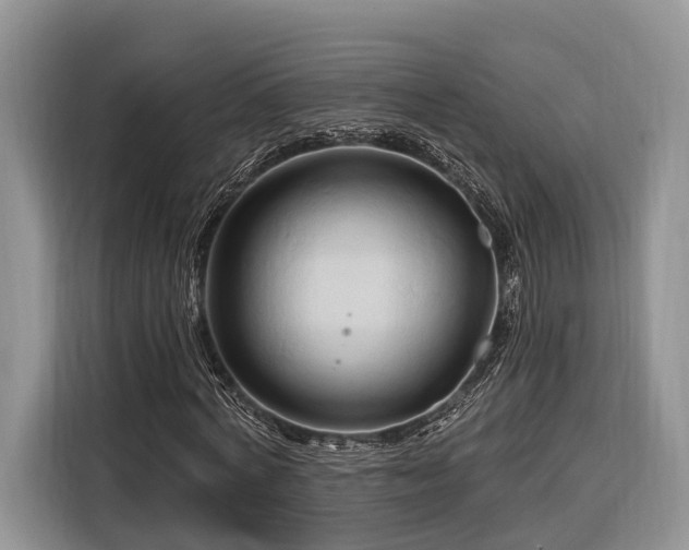 X0000116280772200912071149