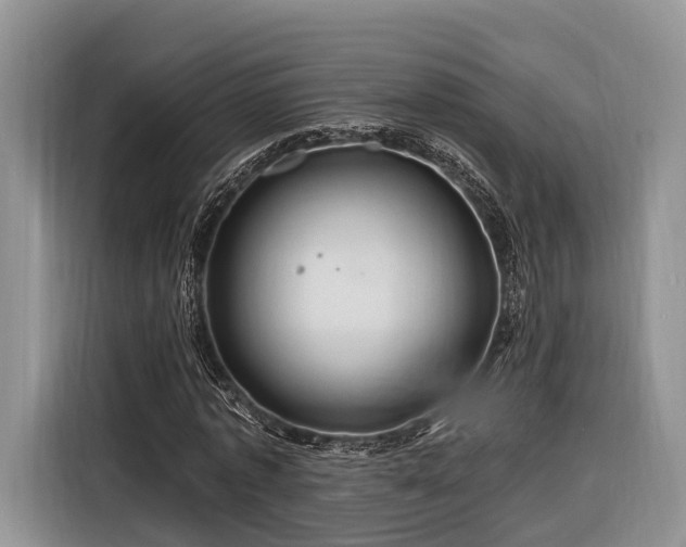 X0000116280773200912071149