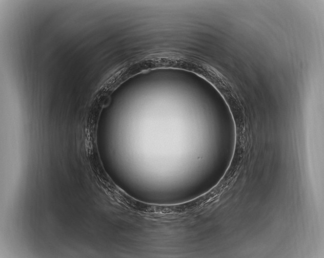 X0000116280774200912071149