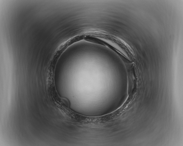 X0000116280775200912071149