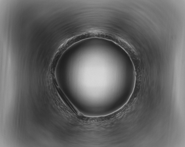 X0000116280776200912071149