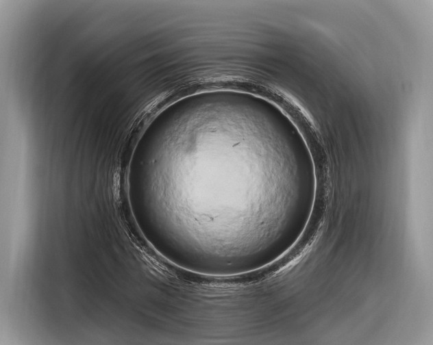 X0000116280777200912071149