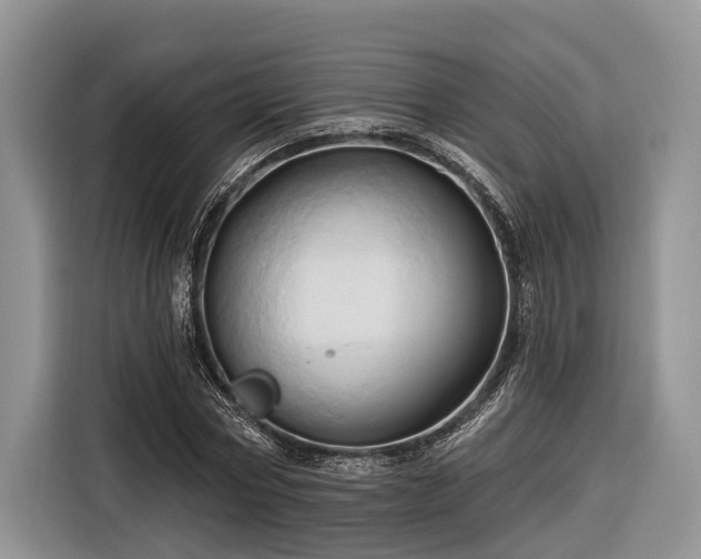 X0000116280778200912071149