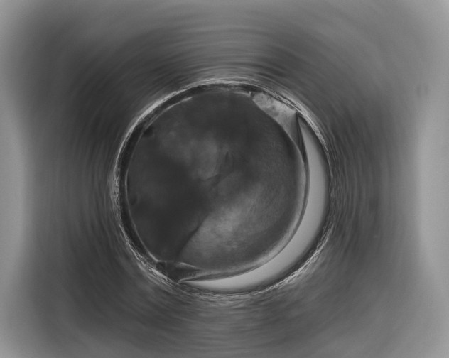 X0000116280779200912071149