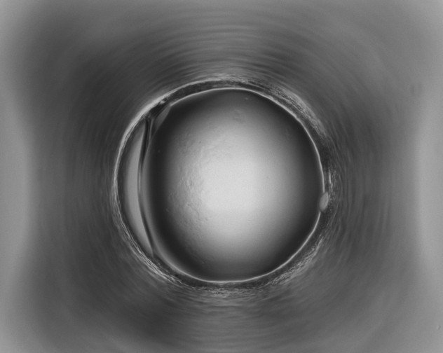 X0000116280780200912071149