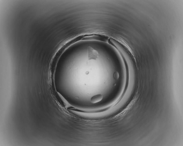 X0000116280781200912071149