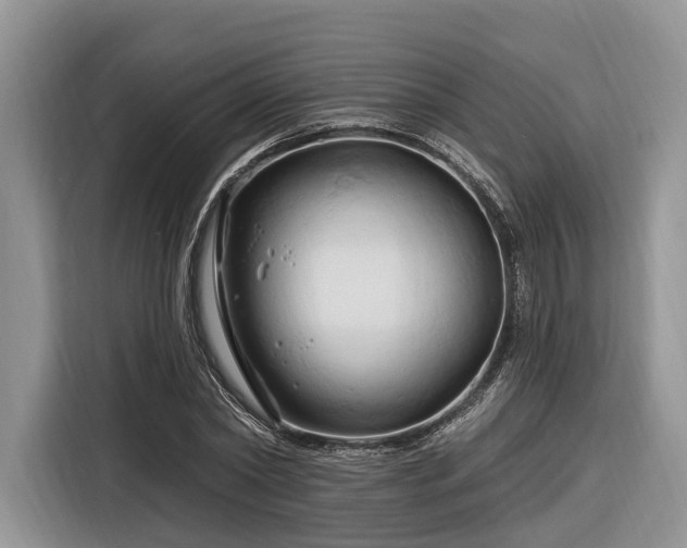 X0000116280782200912071149