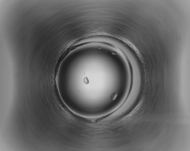 X0000116280785200912071149