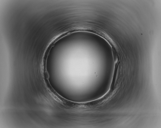 X0000116280787200912071149