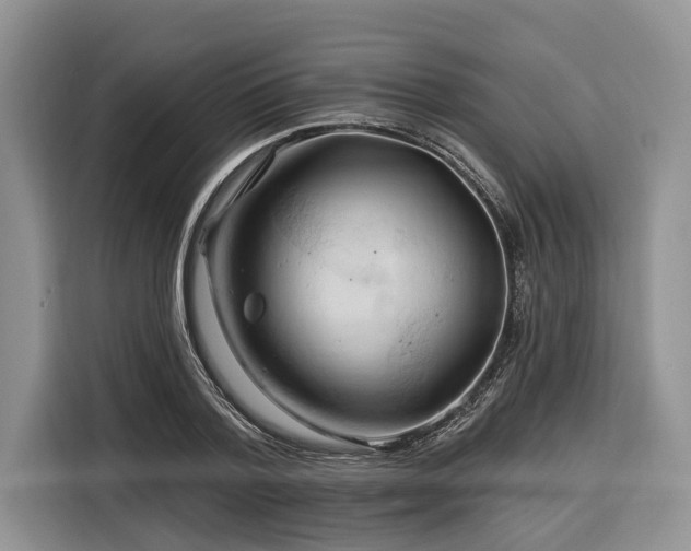 X0000116280788200912071149