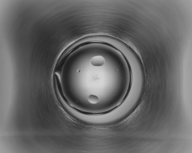 X0000116280789200912071149