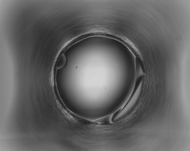 X0000116280791200912071149