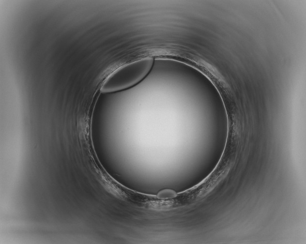 X0000116280793200912071149