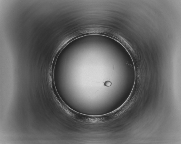 X0000116280794200912071149