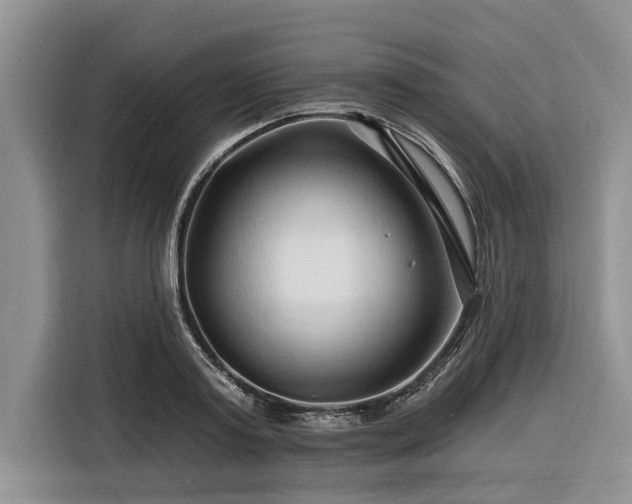 X0000116280795200912071149