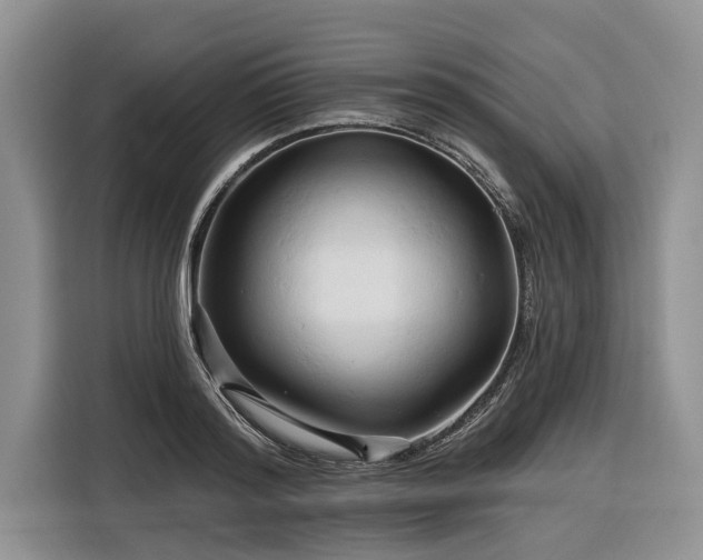 X0000116280796200912071149