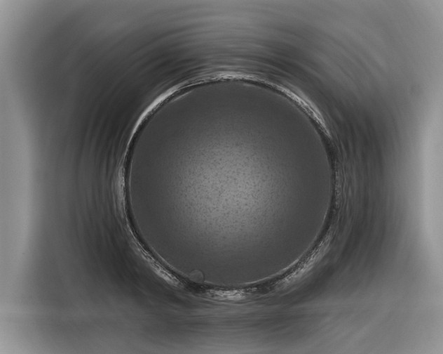 X0000116280798200912071149