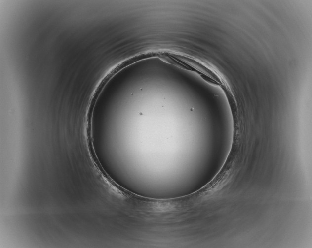 X0000116280799200912071149