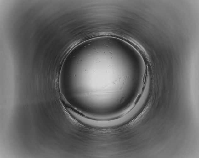 X0000116280801200912071149