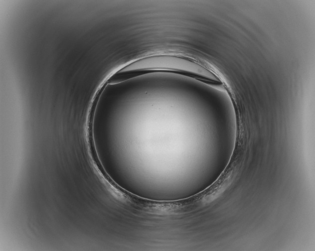 X0000116280803200912071149