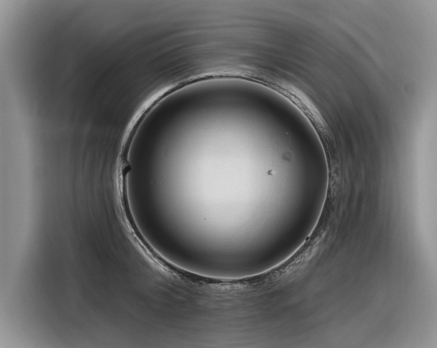 X0000116280804200912071149