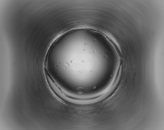 X0000116280805200912071149