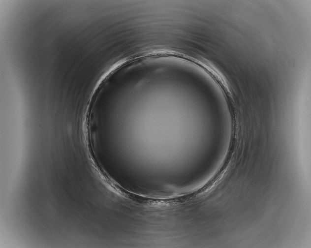 X0000116280806200912071149