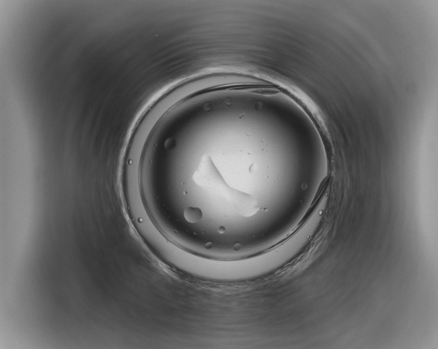 X0000116280807200912071149