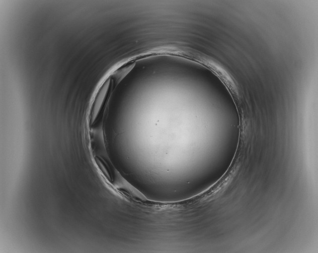 X0000116280808200912071149