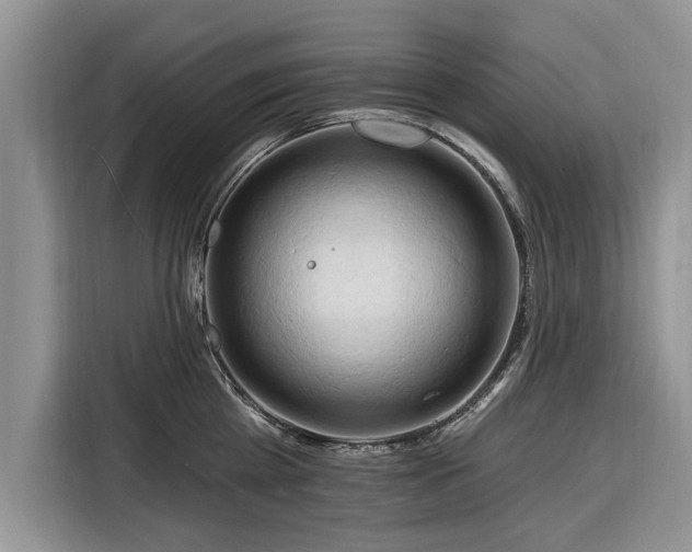 X0000116280809200912071149