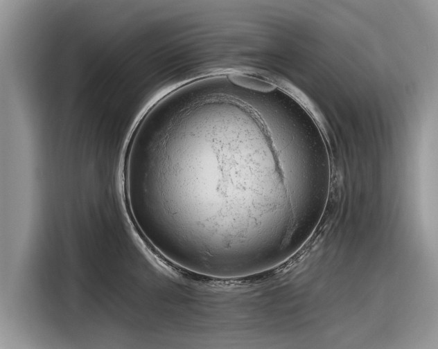 X0000116280811200912071149