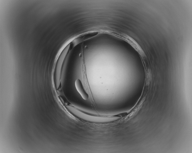 X0000116280812200912071149