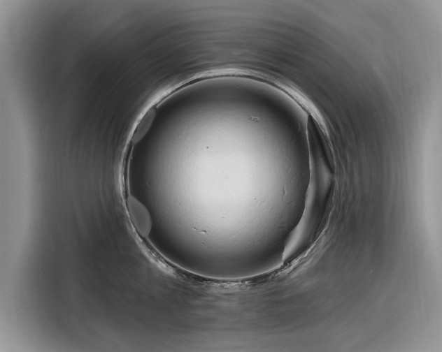 X0000116280813200912071149