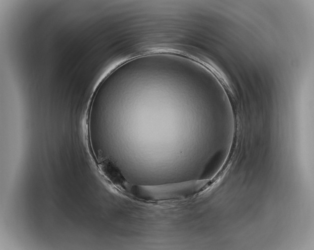 X0000116280814200912071149
