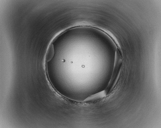 X0000116280815200912071149
