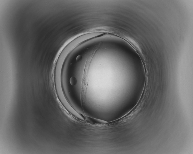 X0000116280816200912071149