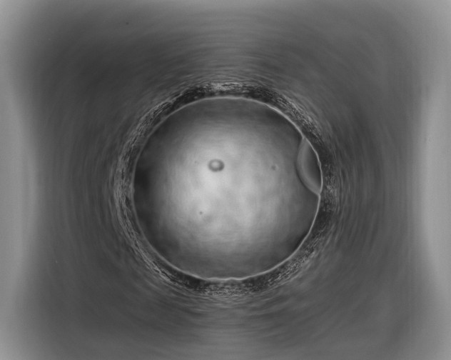 X0000116280817200912071148