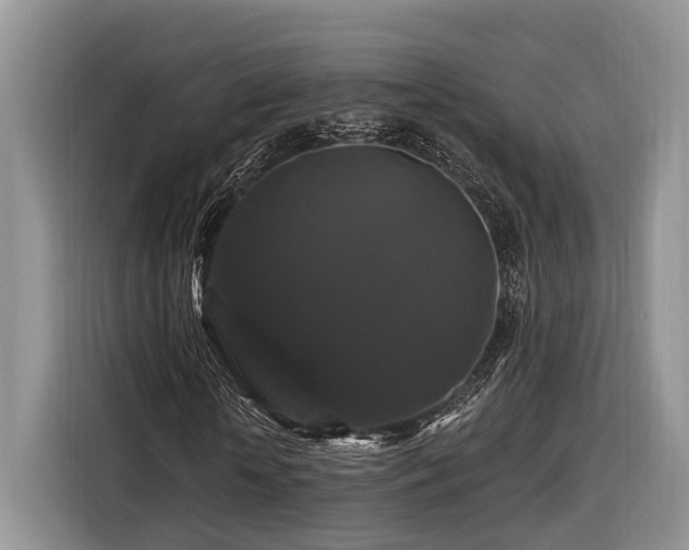 X0000116280818200912071148