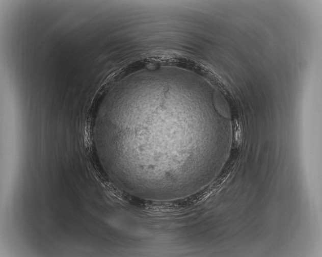 X0000116280819200912071148