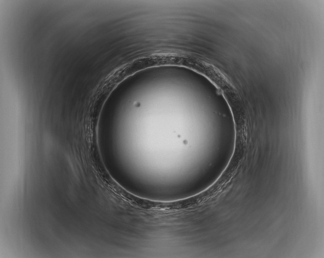 X0000116280821200912071148