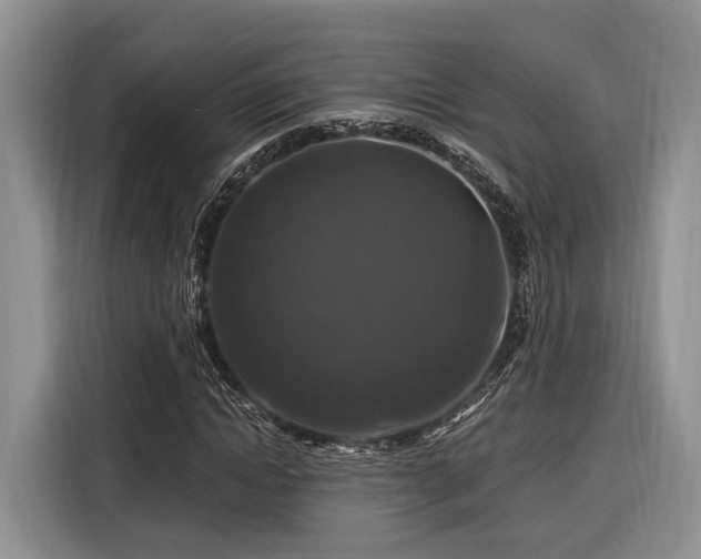 X0000116280822200912071148