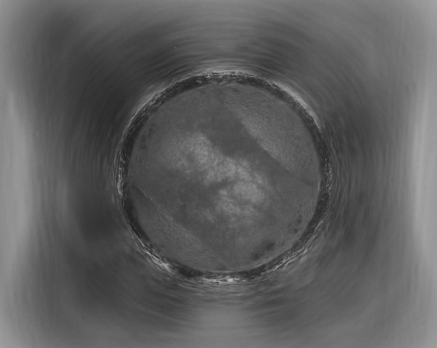 X0000116280823200912071148