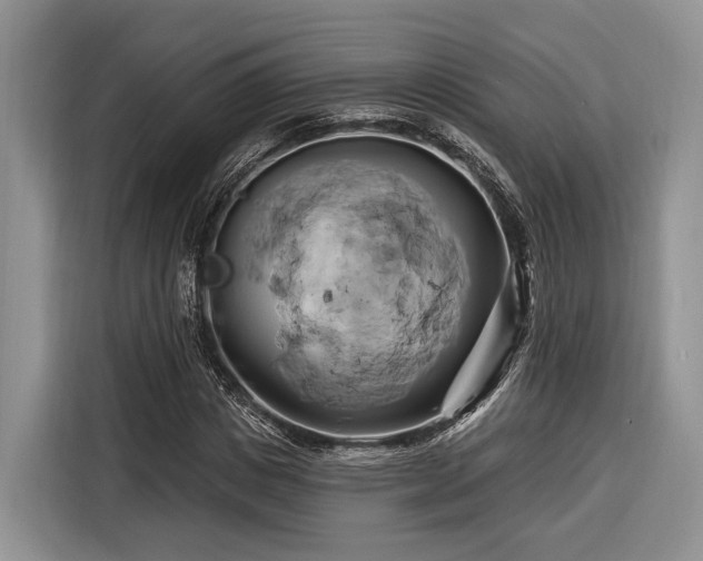 X0000116280825200912071148