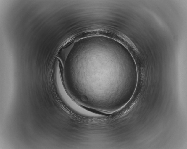 X0000116280826200912071148