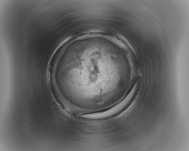 X0000116280827200912071148
